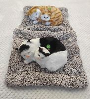 "Кошка с котенком" во Карачеве